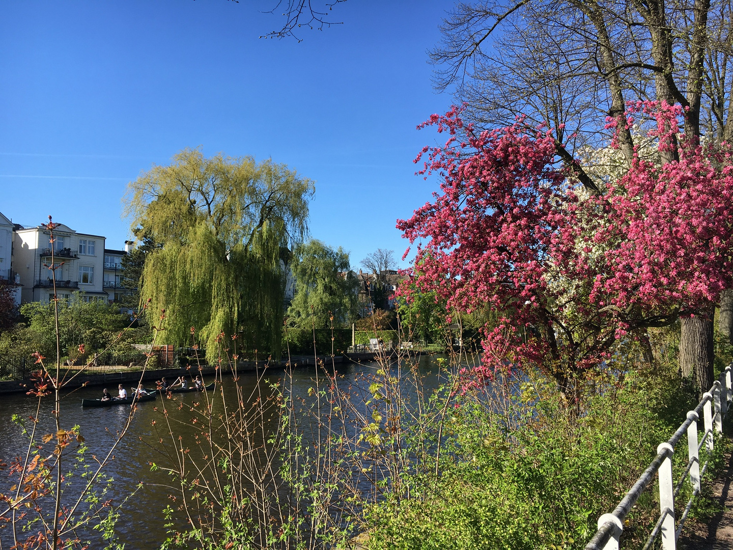 Frühling an der Alster 