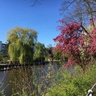 Frühling an der Alster 