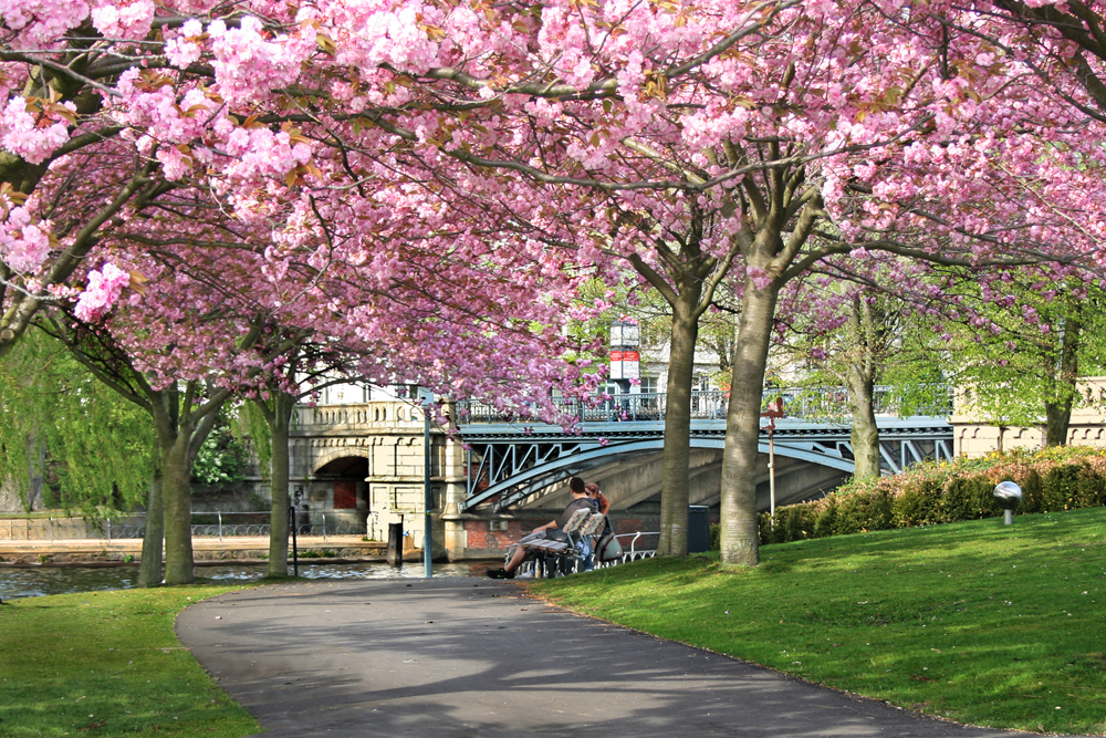 Frühling an der Alster