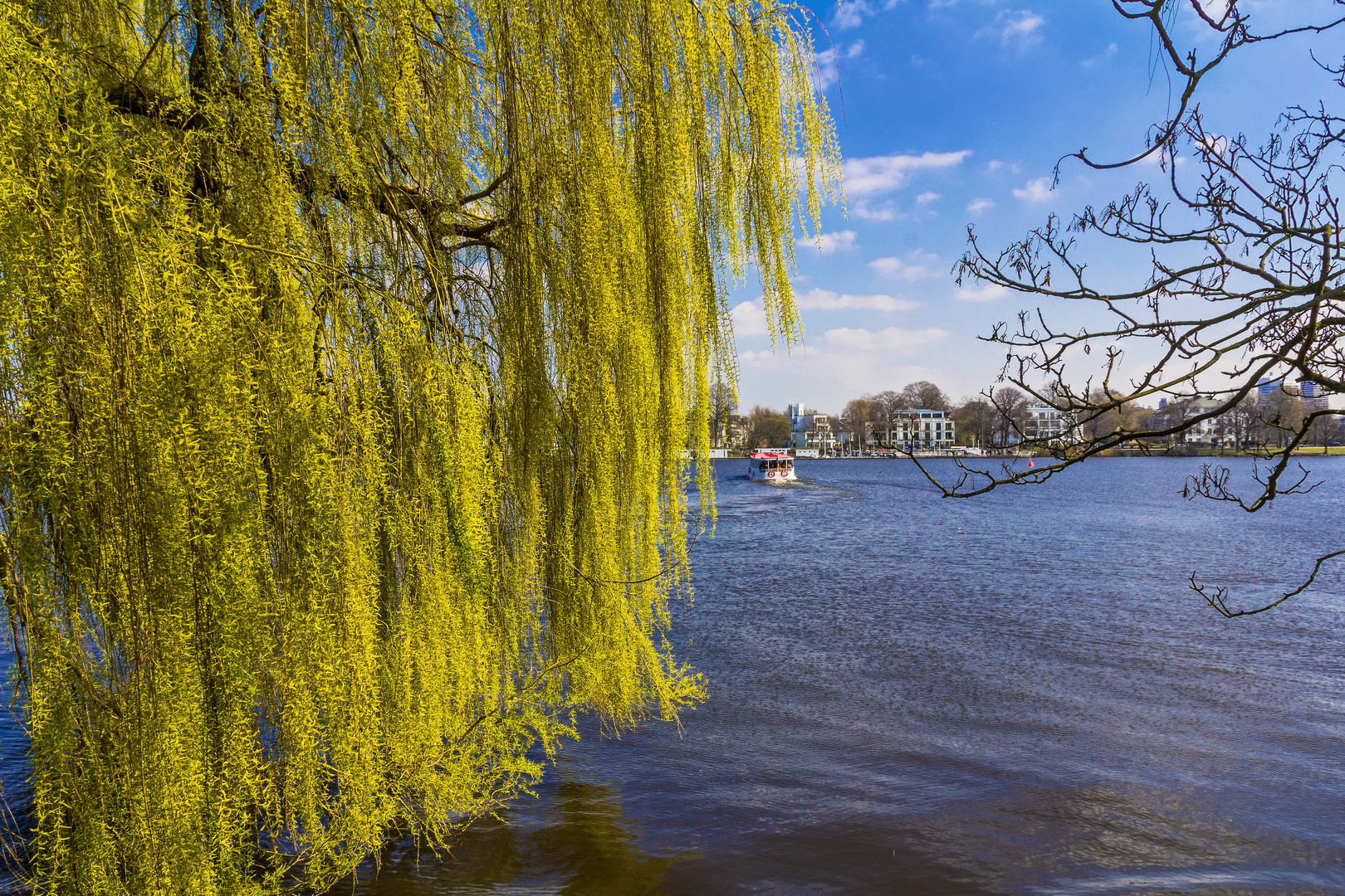 Frühling an der Alster