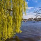 Frühling an der Alster