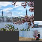 Frühling an der Alster ...