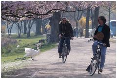 Frühling an der Alster II