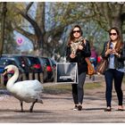 Frühling an der Alster III