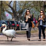 Frühling an der Alster III