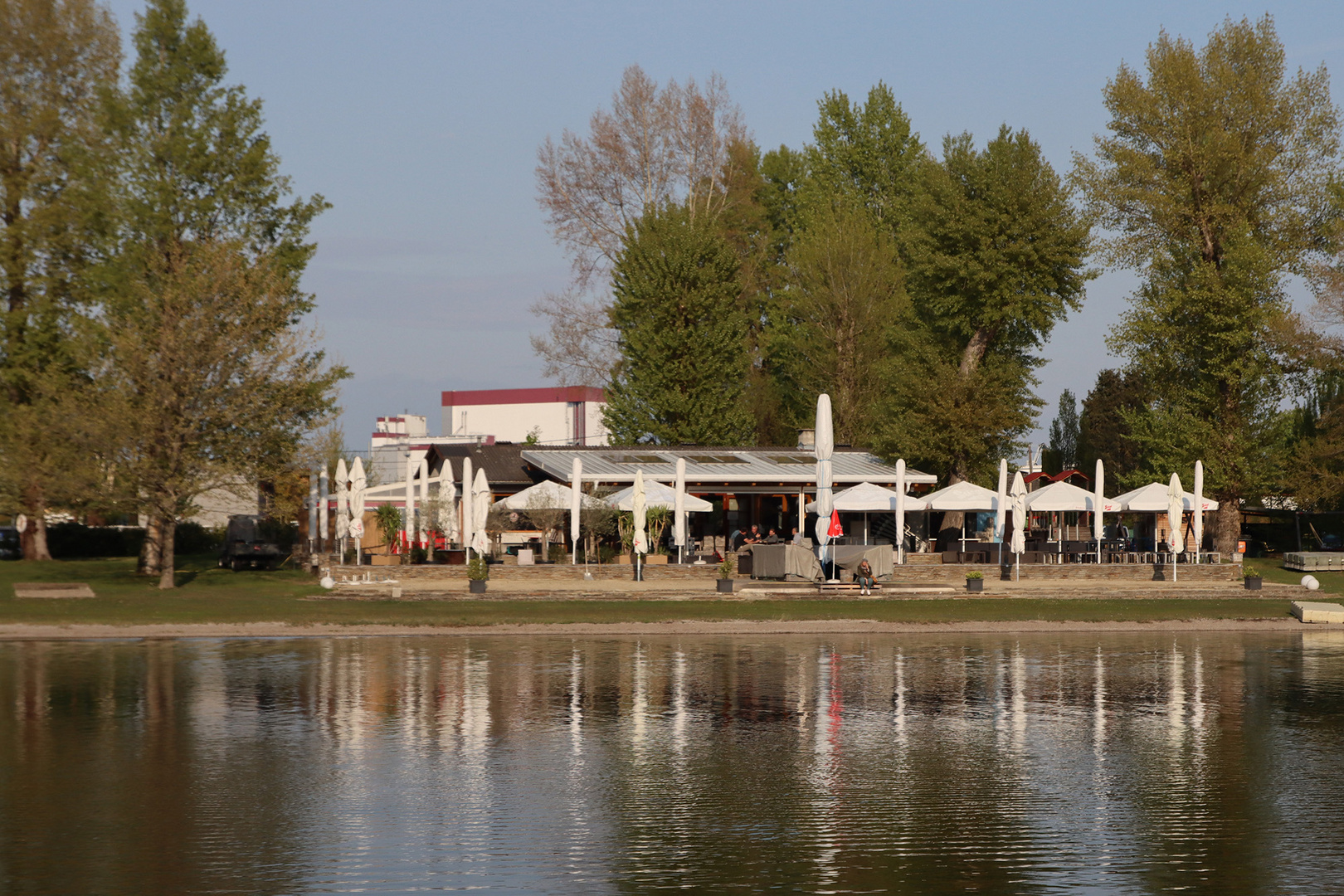 Frühling an der Alten Donau