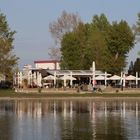 Frühling an der Alten Donau