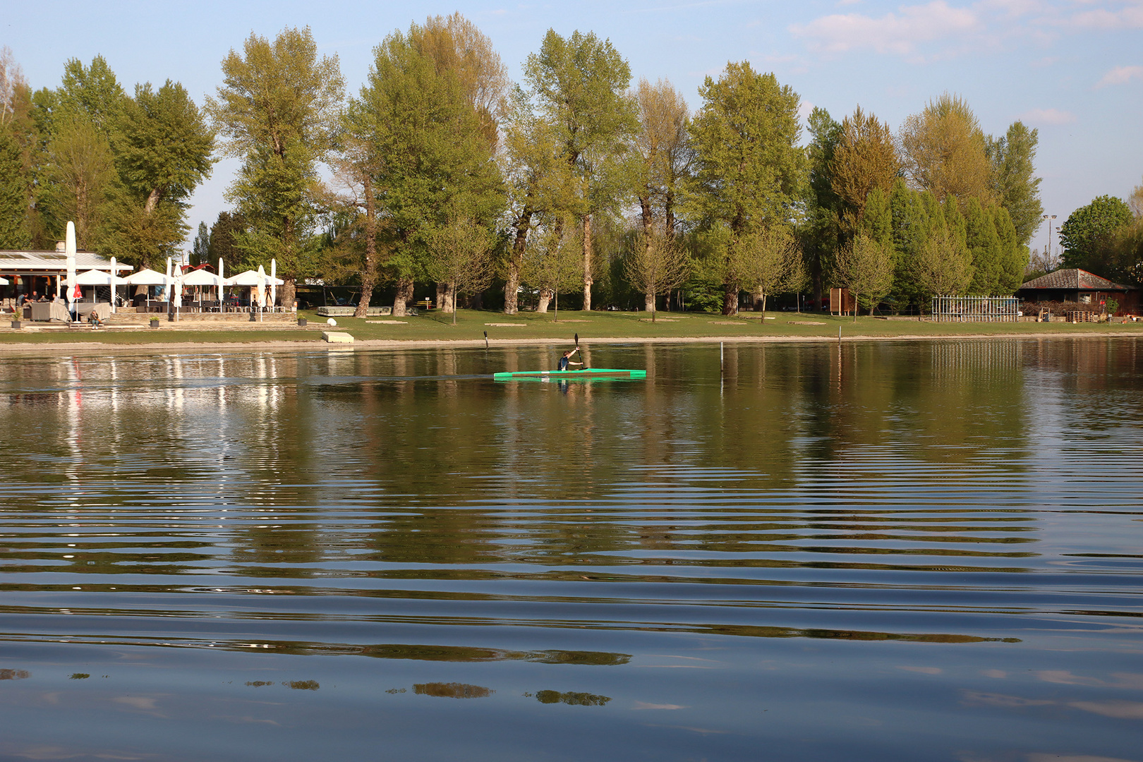 Frühling an der Alten Donau