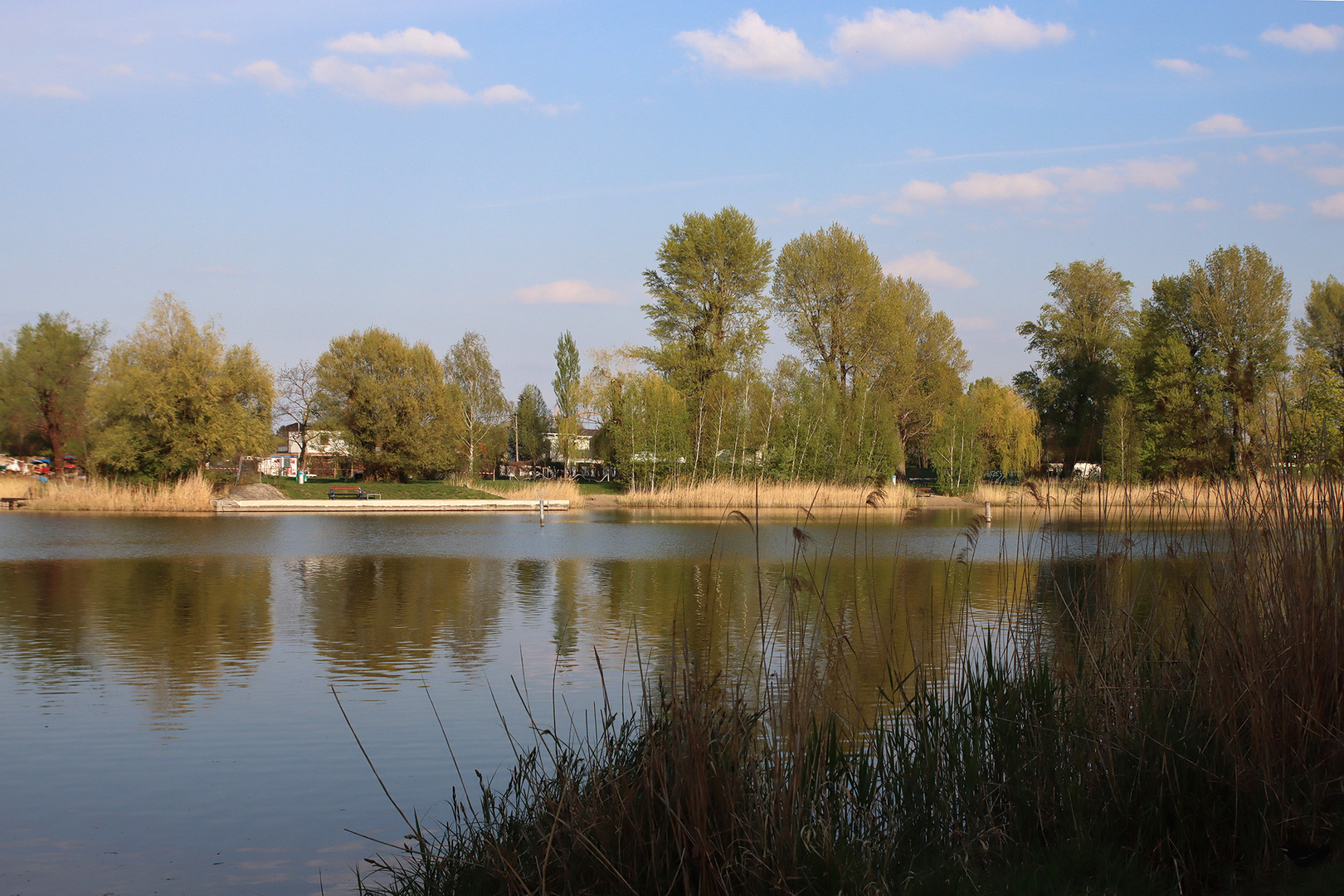 Frühling an der Alten Donau