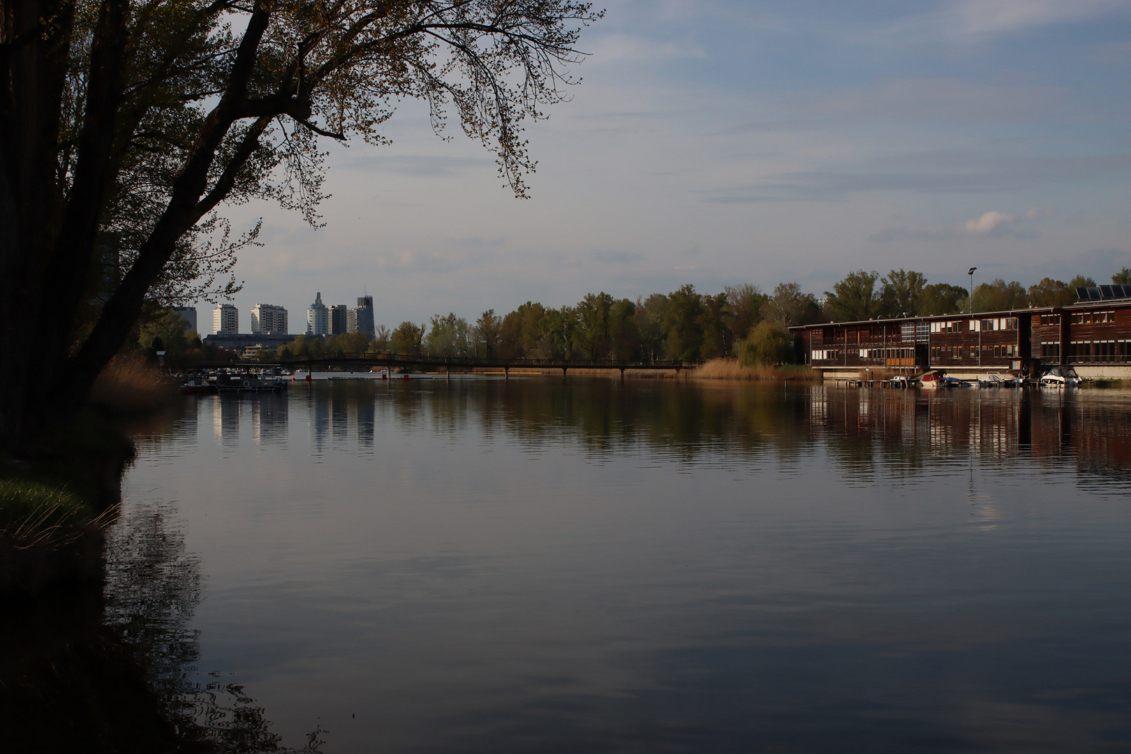 Frühling an der Alten Donau