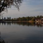 Frühling an der Alten Donau