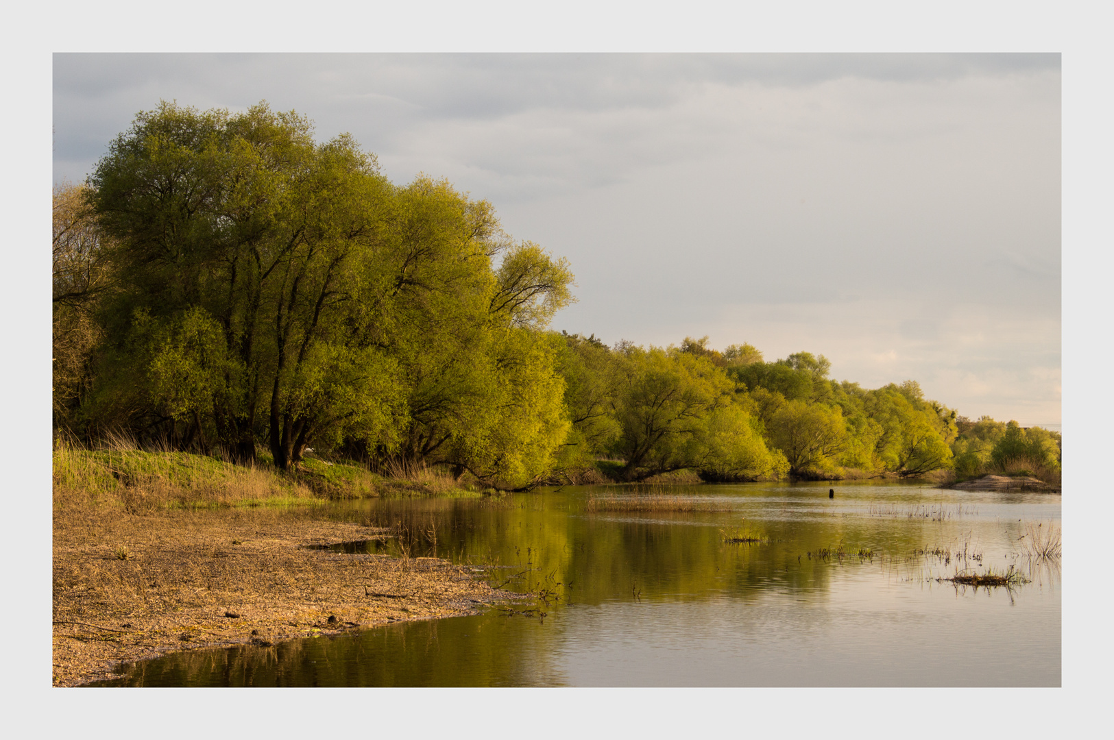 Frühling an der Alten Elbe