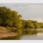 Frühling an der Alten Elbe