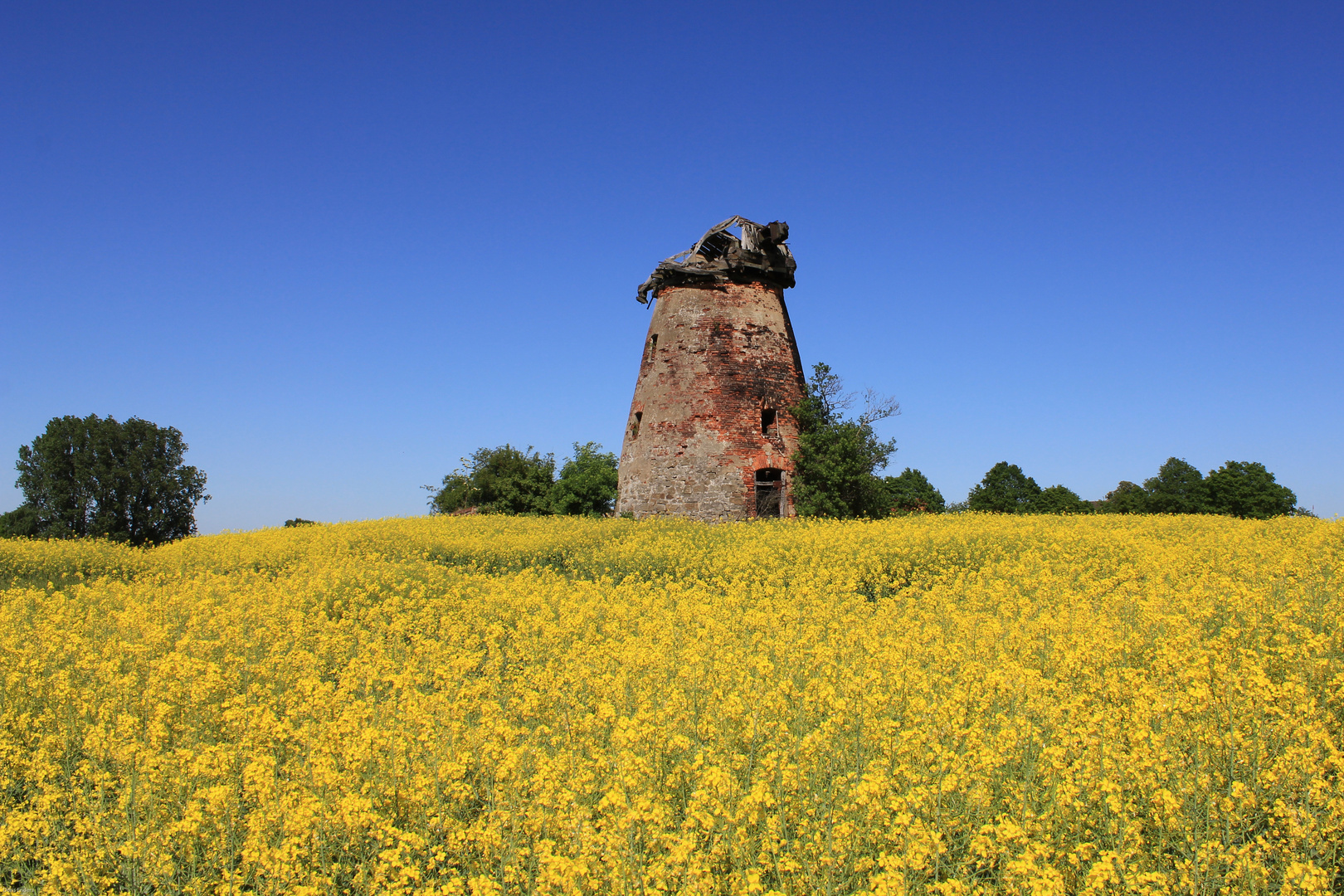 Frühling an der alten Mühle