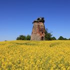 Frühling an der alten Mühle