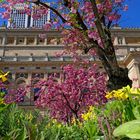 Frühling an der alten Oper 02