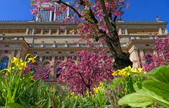 Frühling an der alten Oper 02