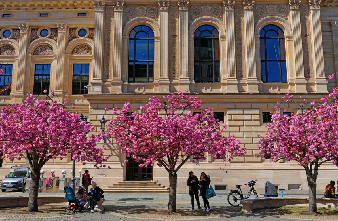 Frühling an der alten Oper 03