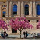 Frühling an der alten Oper 03