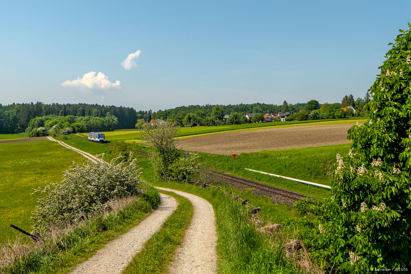 Frühling an der Ammerseebahn