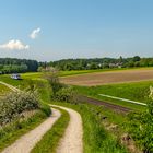 Frühling an der Ammerseebahn