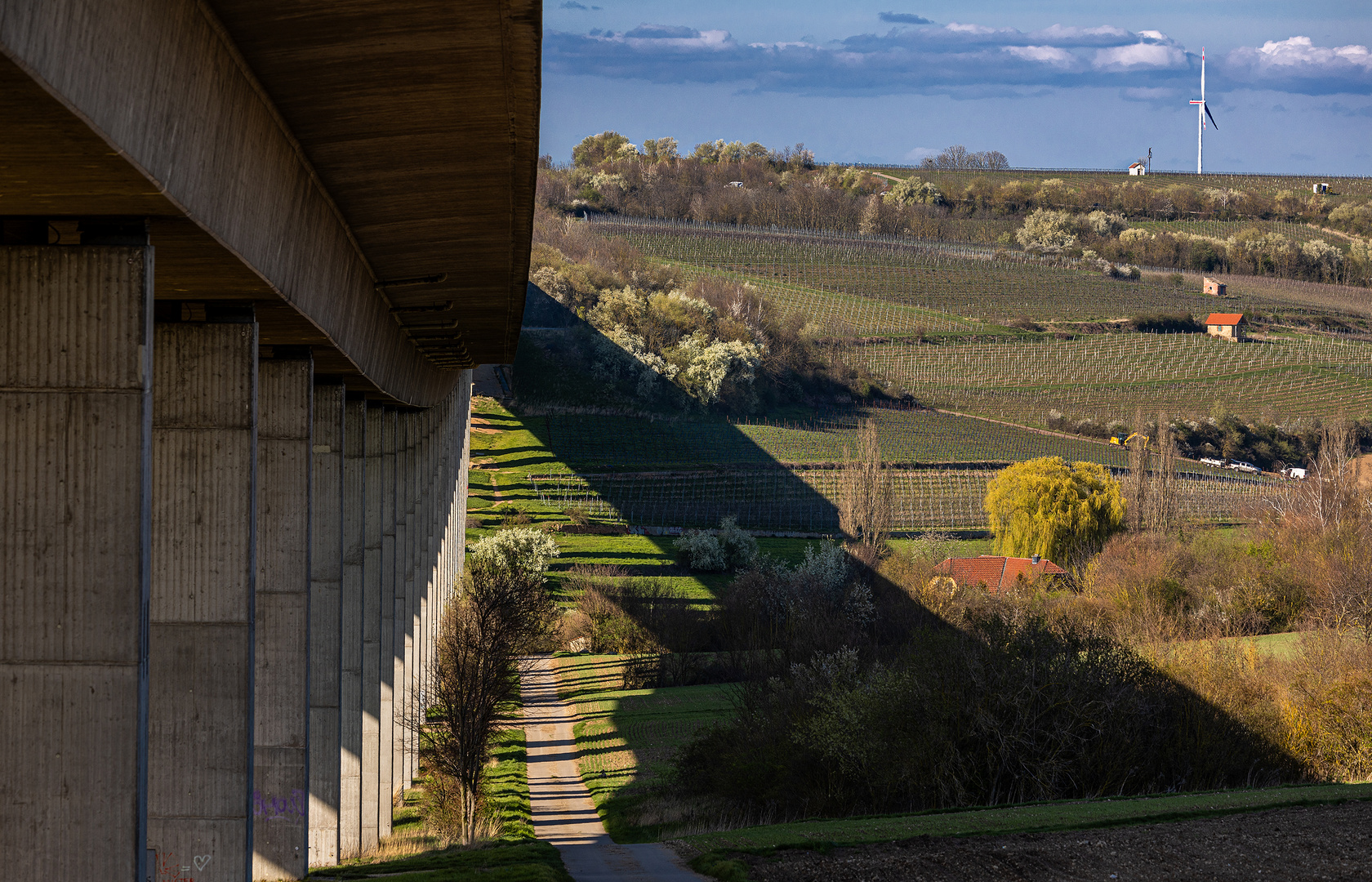 Frühling an der Autobahn