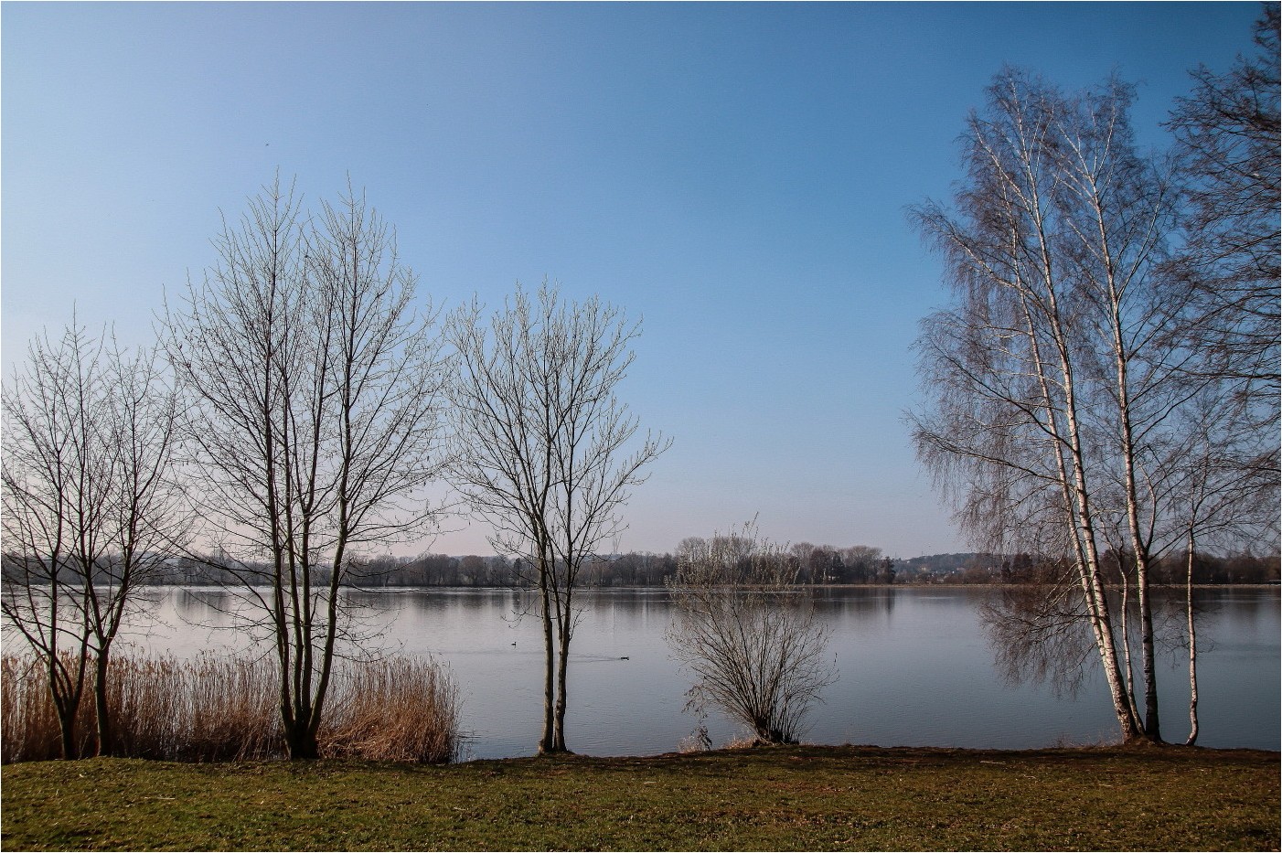 Frühling an der Badewiese