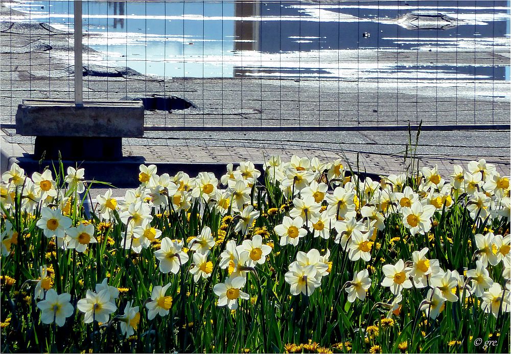 Frühling an der Baustelle