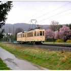 Frühling an der Bergstraße