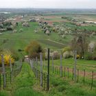 Frühling an der Bergstraße