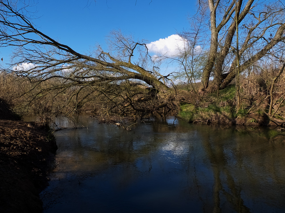 Frühling an der Bibert