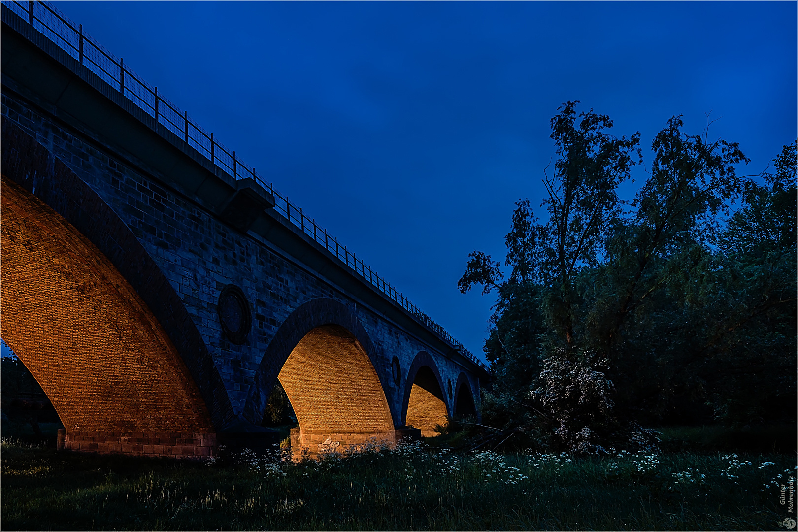 Frühling an der Bode