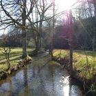 Frühling an der Bühler