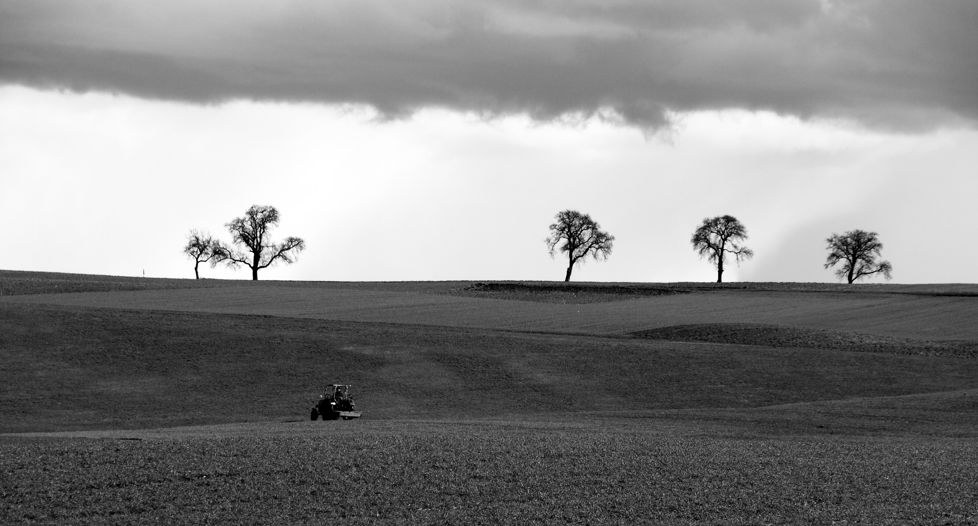 Frühling an der Bühler