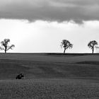 Frühling an der Bühler