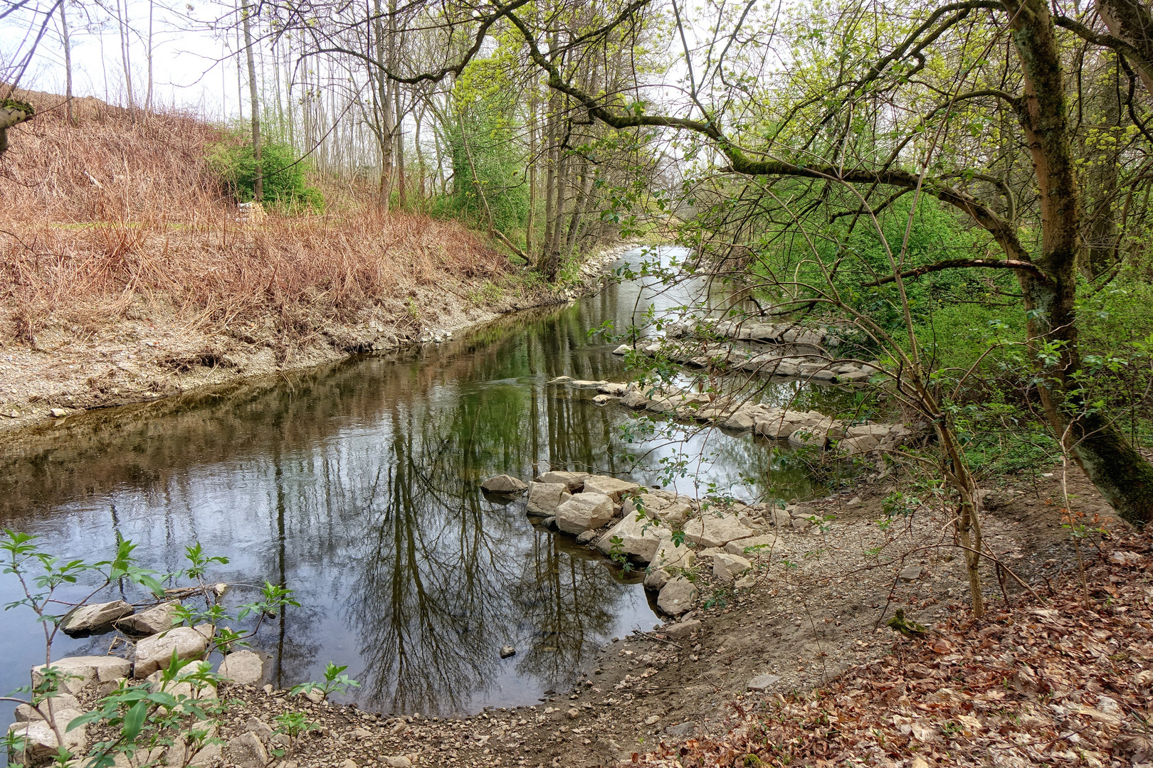 Frühling an der Chemnitz ....