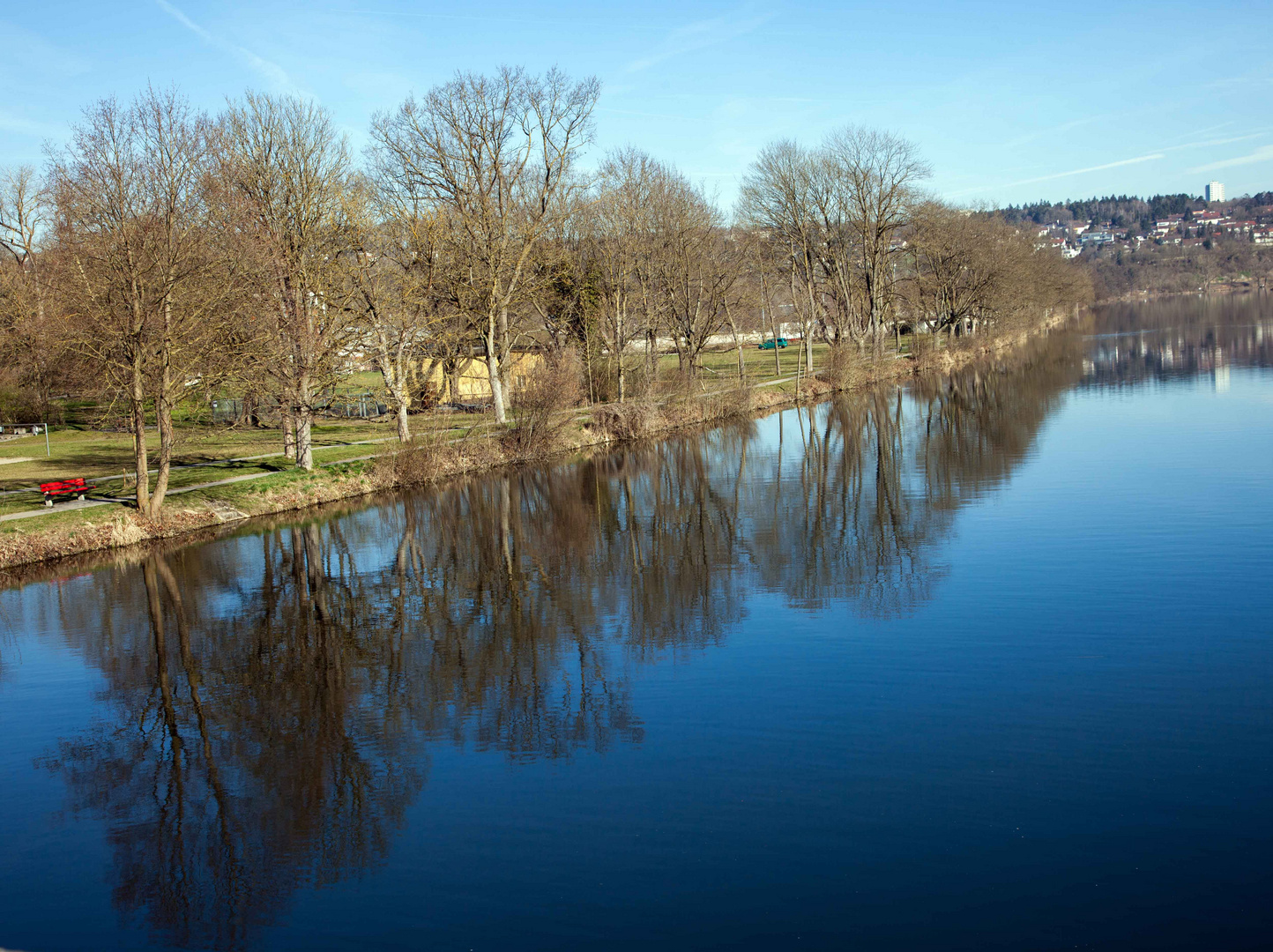 Frühling an der Donau -Ulm