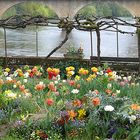 Frühling an der Dordogne
