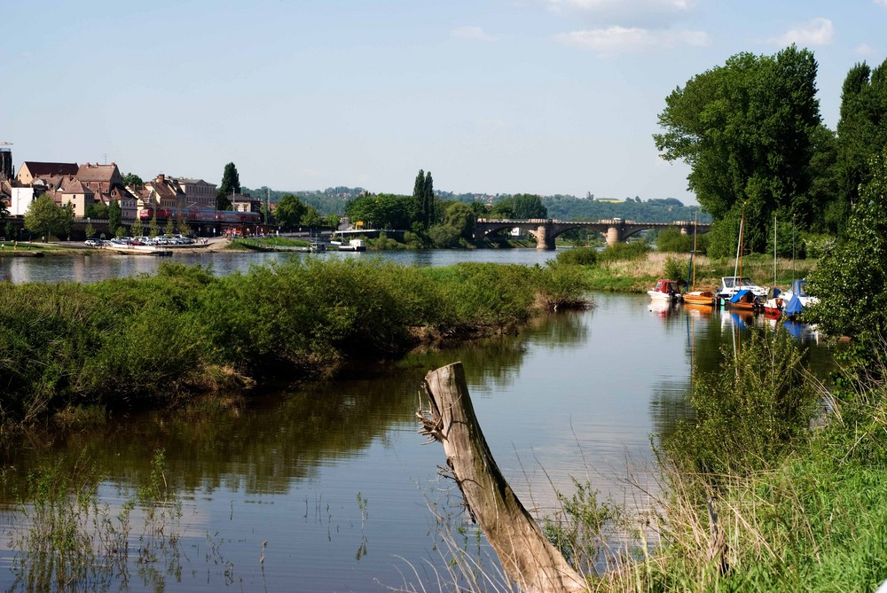 Frühling an der Elbe 1