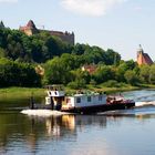 Frühling an der Elbe 2