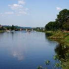 Frühling an der Elbe 3