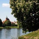 Frühling an der Elbe 4