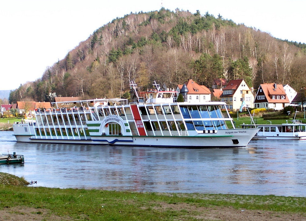 Frühling an der Elbe