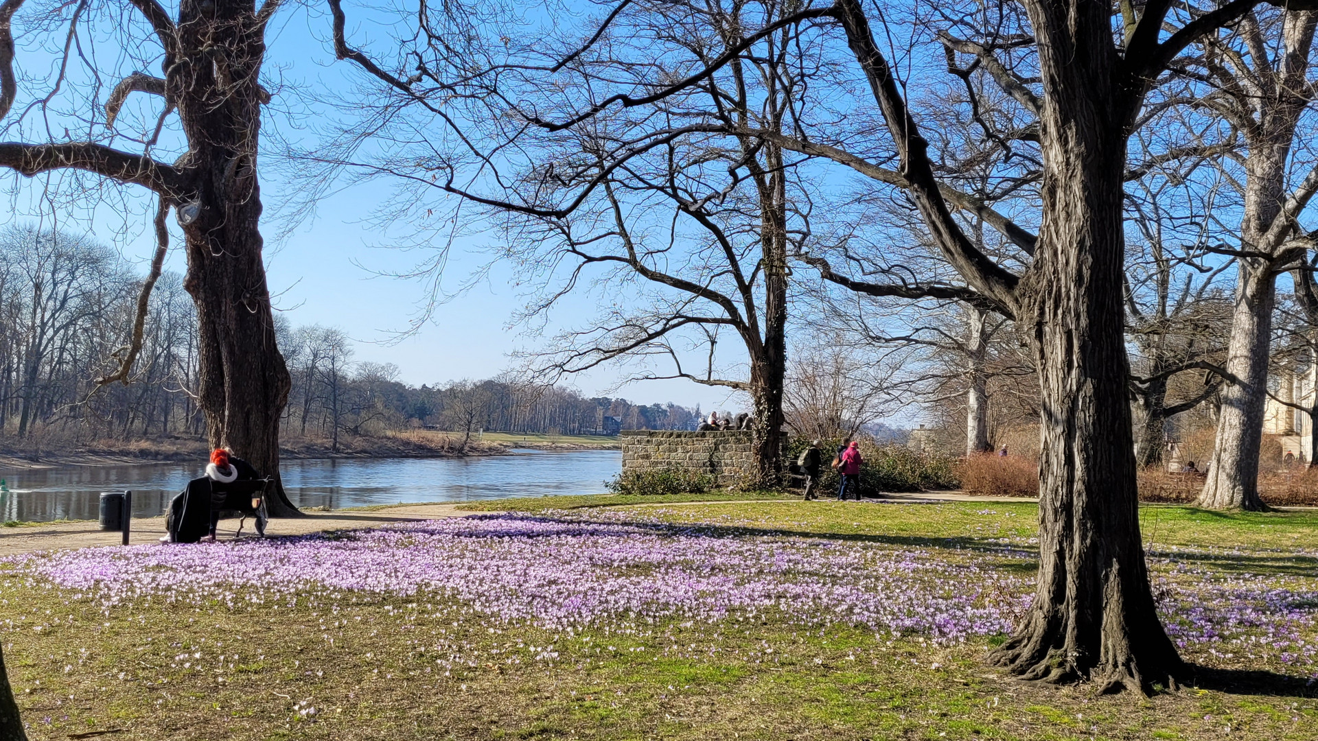 Frühling an der Elbe