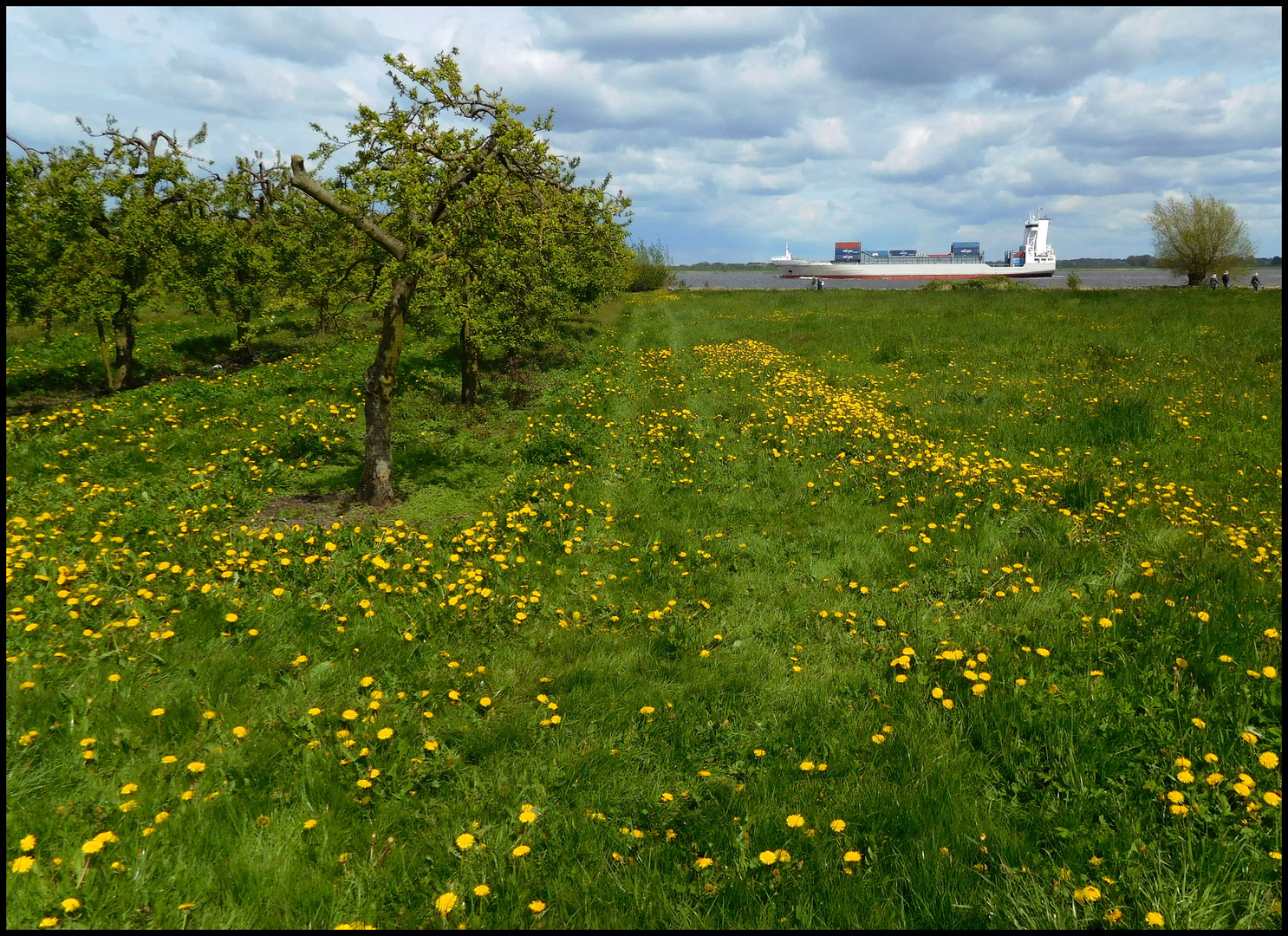 Frühling an der Elbe