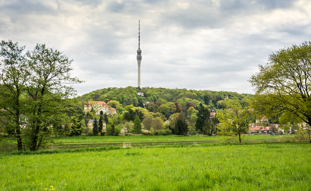 Frühling an der Elbe