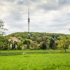 Frühling an der Elbe