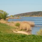 Frühling an der Elbe