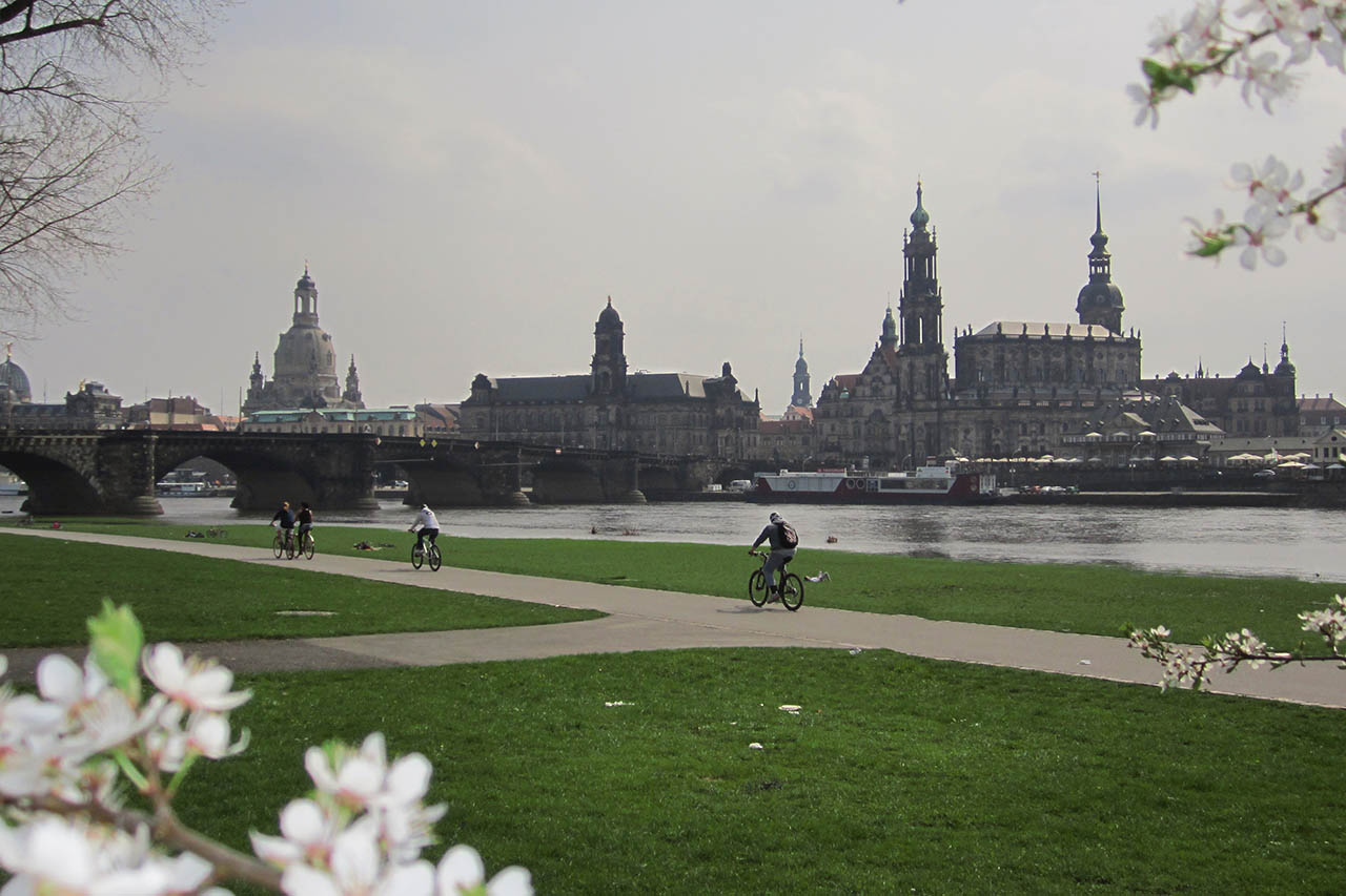 Frühling an der Elbe