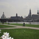 Frühling an der Elbe